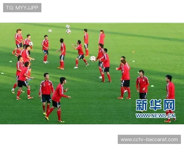 沿海足球俱乐部气候适应与球场防洪能力提升策略研究