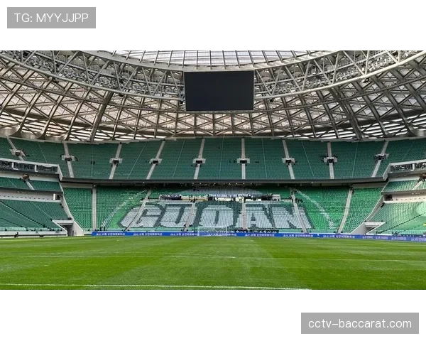 现场直击：沙尔克04球迷在保级关键战前巨型TIFO覆盖看台